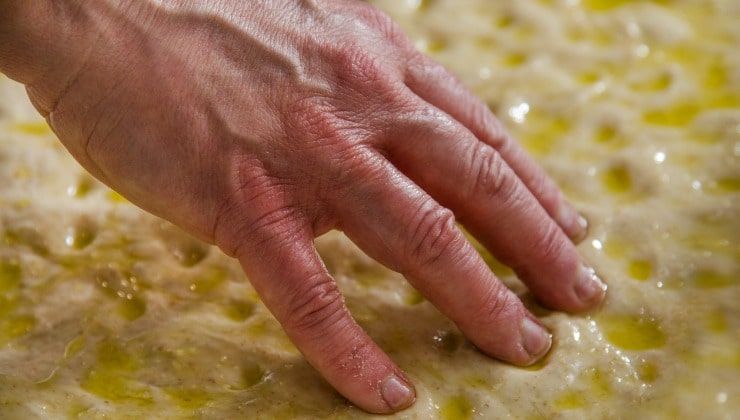 pasta per focaccia