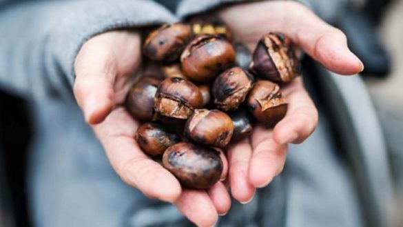 Castagne buone