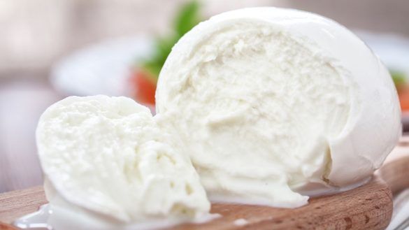 Mozzarella di bufala