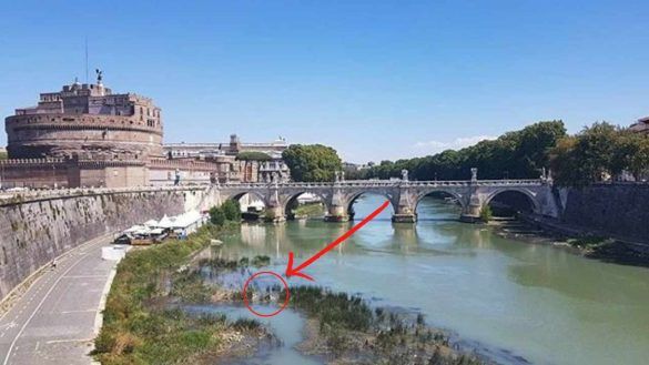 Riappare sul tevere dopo anni