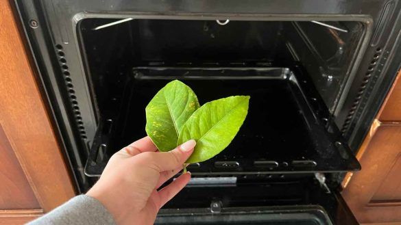 foglie nel forno