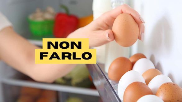 uova nel frigo