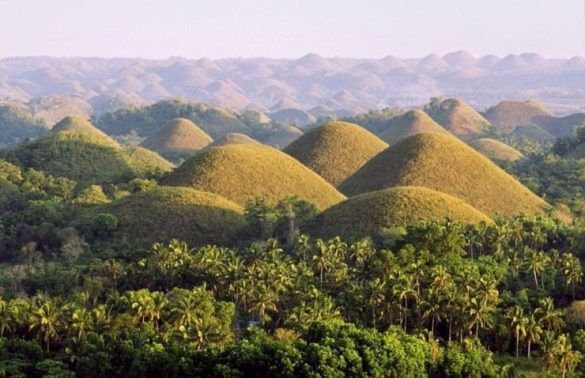 Colline di cioccolato di Bohol