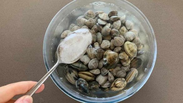 Togliere la sabbia dalle vongole