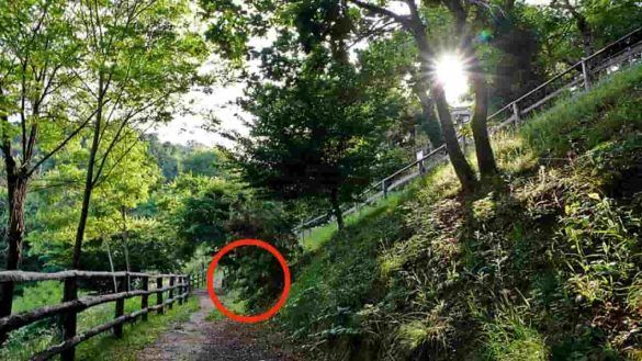 Trovano un barattolo nel bosco