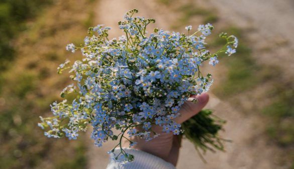 Cos’è il Foraging