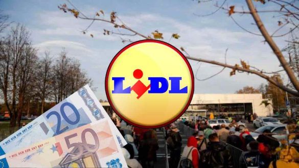 Lidl offerta