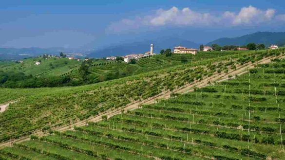 Strada del vino