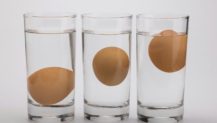 Test, riconoscere se un uovo è fresco o no 