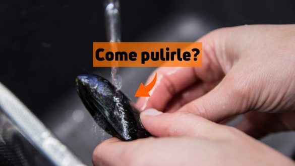 Pulire cozze