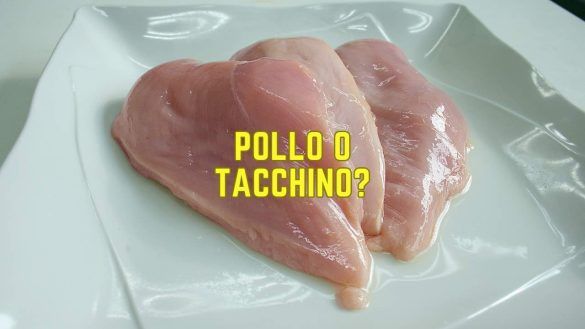 Pollo e tacchino