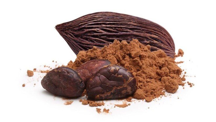 Semi di cacao 