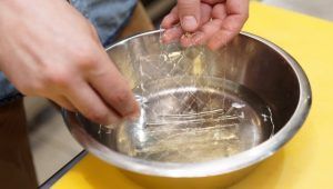 Colla di pesce, fogli di gelatina in acqua