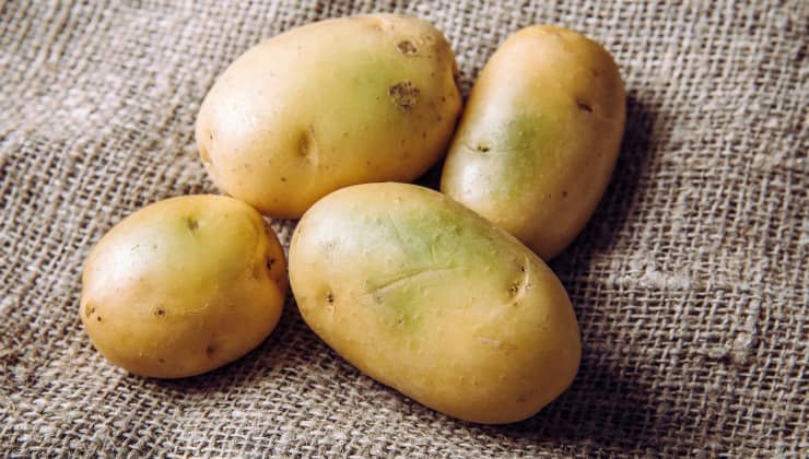 Patate verdi con solanina