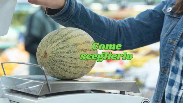 Comprare melone