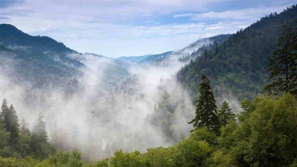 Great Smoky Mountains