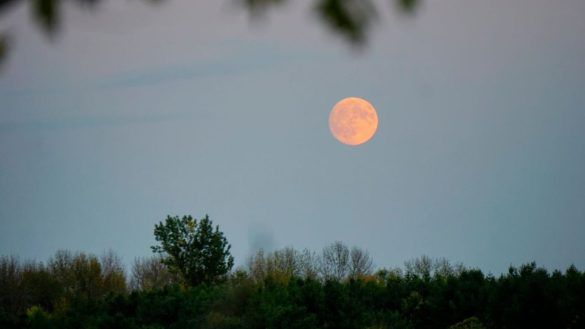 Luna del raccolto autunnale