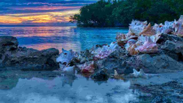 Conch Mound - Anegada