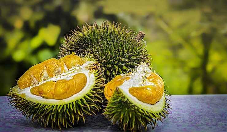 Durian: il frutto puzzolente