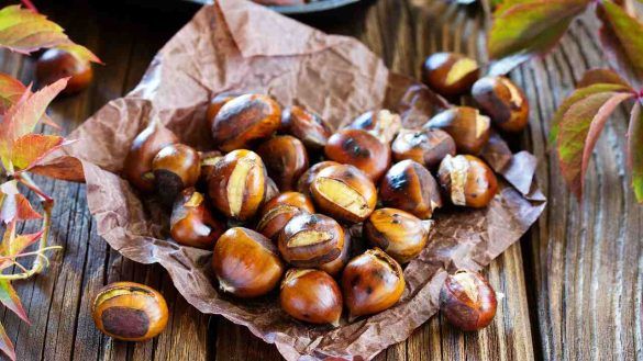 Castagne benefici nutrizionali