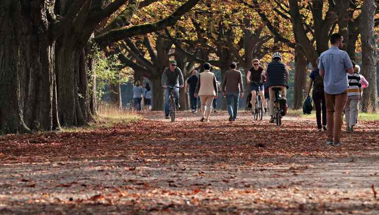 Paesaggio autunnale