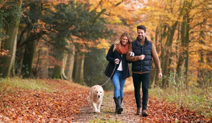 Passeggiata autunnale nei boschi più belli