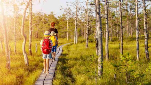 Trekking in Estonia