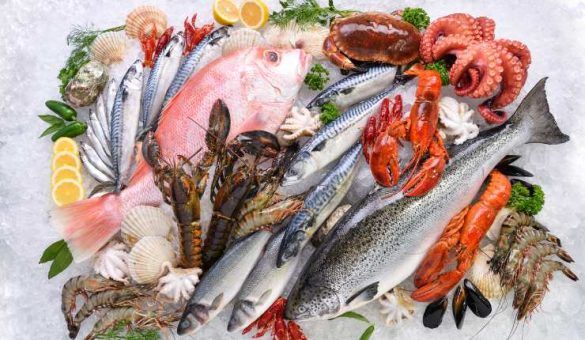 Antipasto Crudo Di Mare Come Scegliere Il Pesce Migliore E Preparare Un Piatto Da Chef