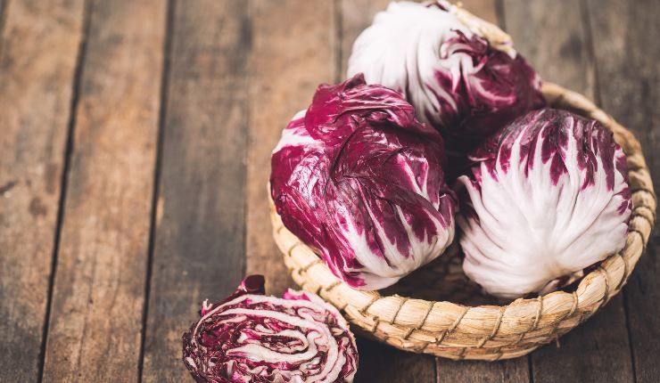 Radicchio