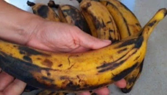 Banane mature