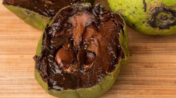 Black sapote