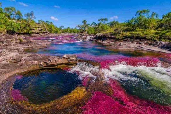 Caño Cristales fiume della Colombia