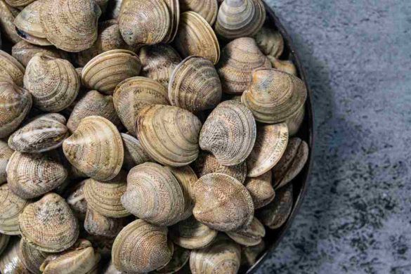 Differenza tra vongole e lupini