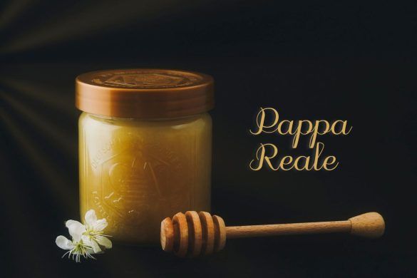 Pappa reale