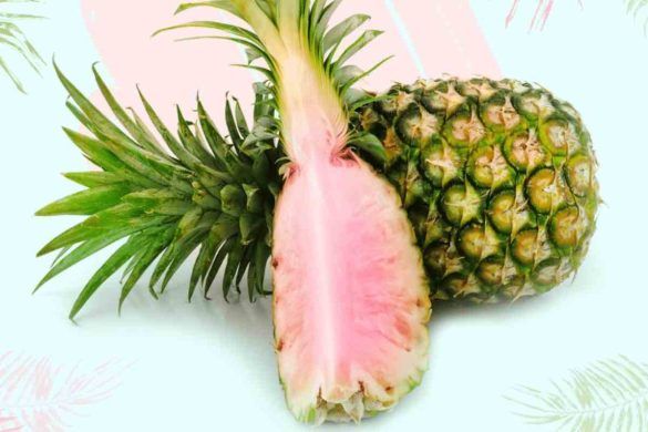 PinkGlow Pineapple Ananas Rosa