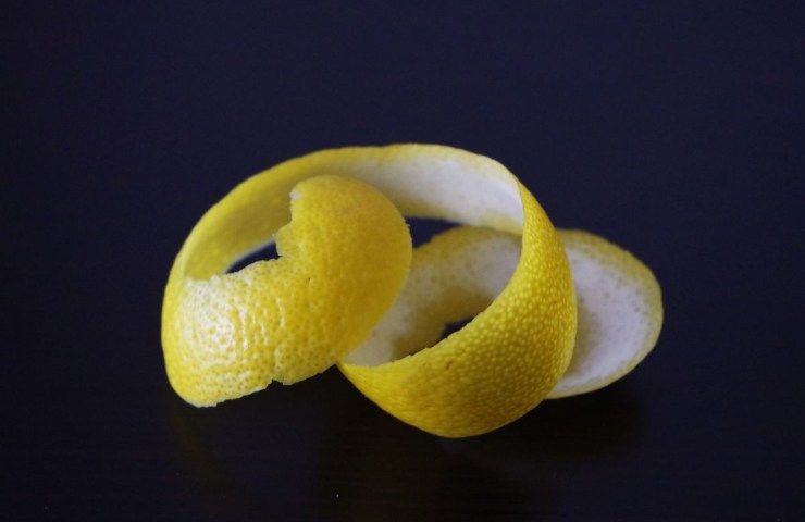 Buccia del limone scarto o risorsa?