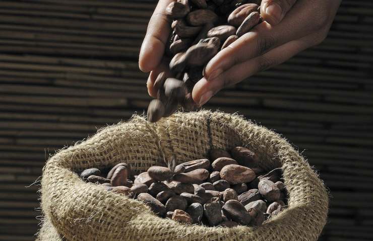 Fave di cacao