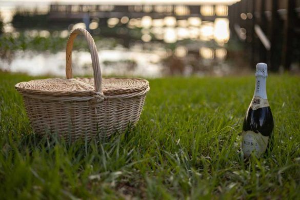Giornata mondiale del Pic-nic