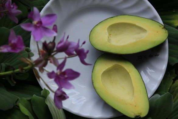 I migliori abbinamenti con l'avocado