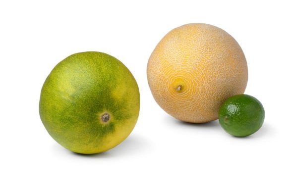 Limelon: metà melone metà limone