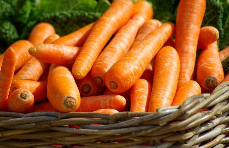 Polpetta di carote