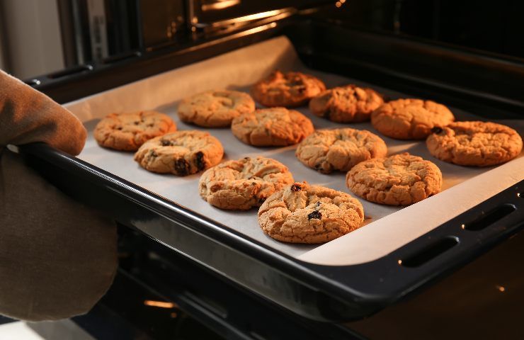 Ricetta biscotti senza farina