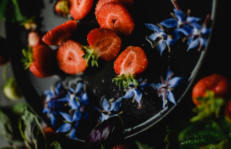 Torta decorata con fiori di borragine