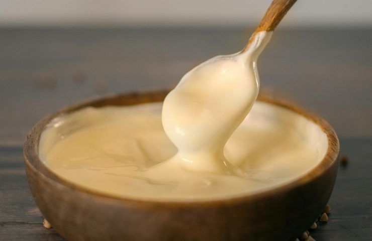 Yogurt di soia fatto in casa 