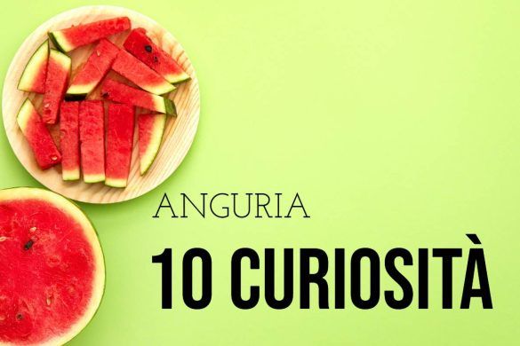 10 Curiosità sull'anguria