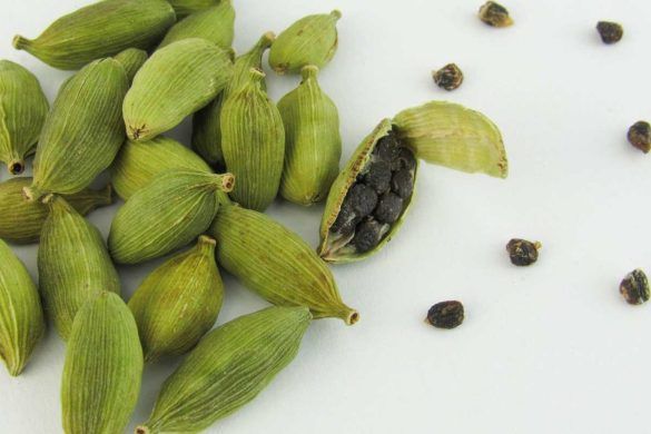 Cardamomo