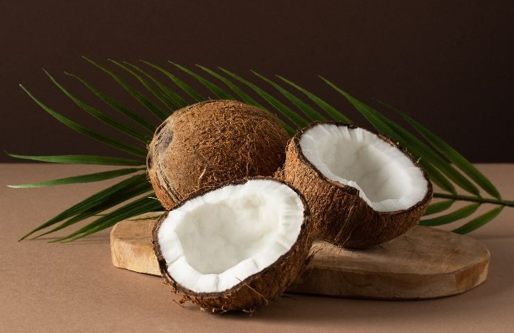 Cocco