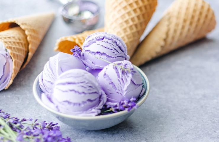 Gelato ai mirtilli ricetta