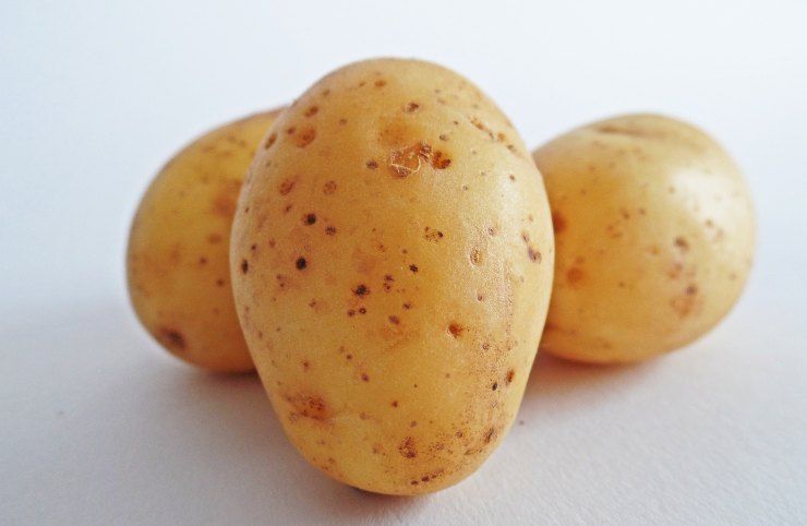 Patate