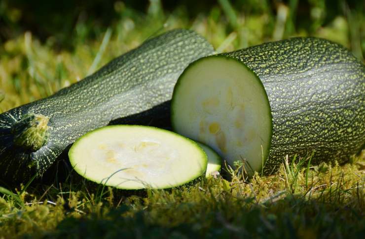 Zucchine